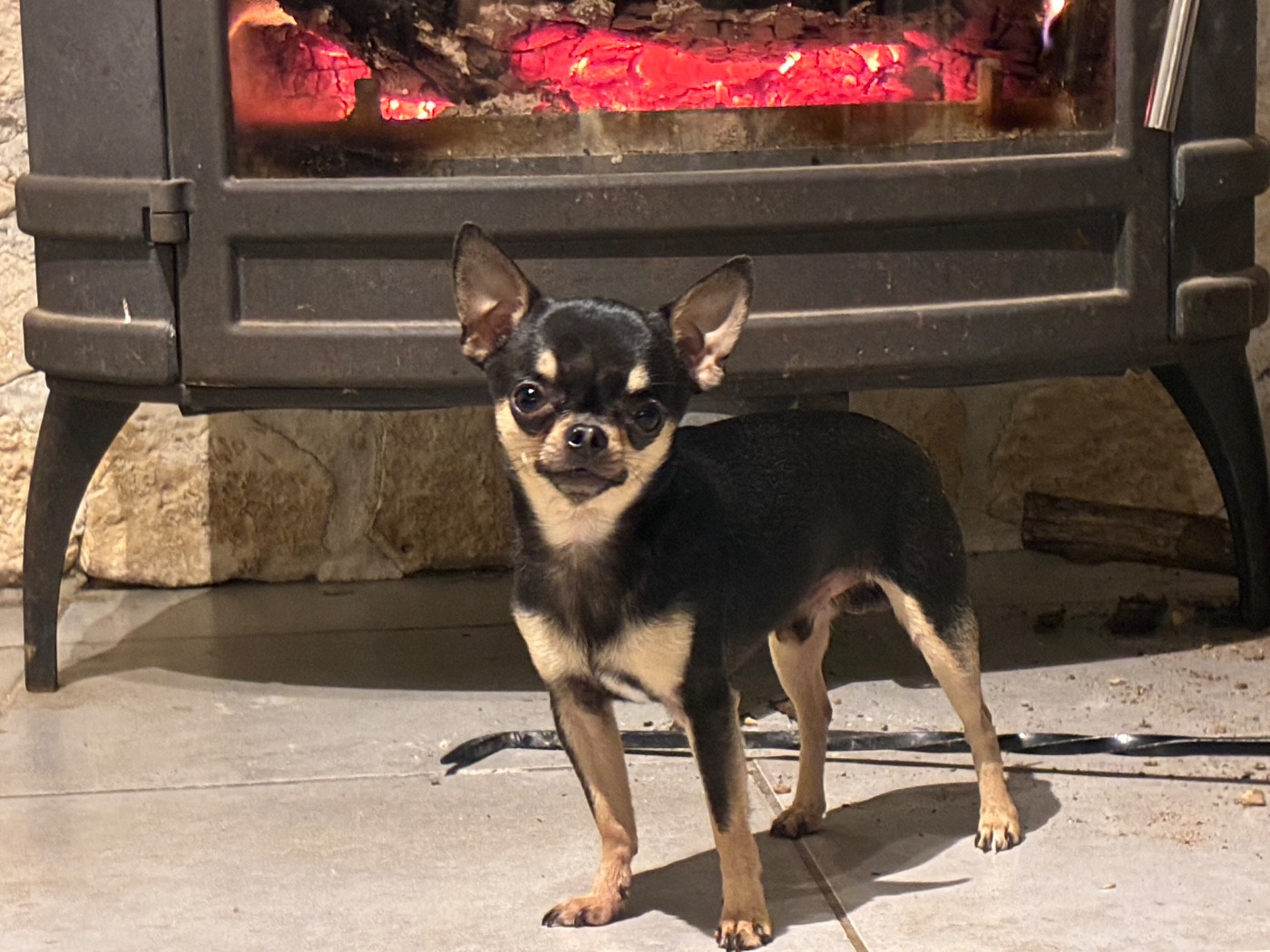 Toruk makto De L’Empreinte De Maitouck